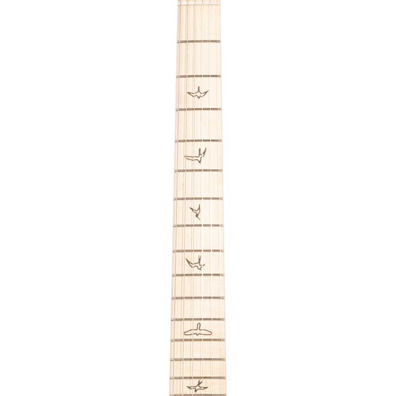 PRS Silver Sky Electric Guitar, Maple Fingerboard, Polar Blue w/Gig Bag