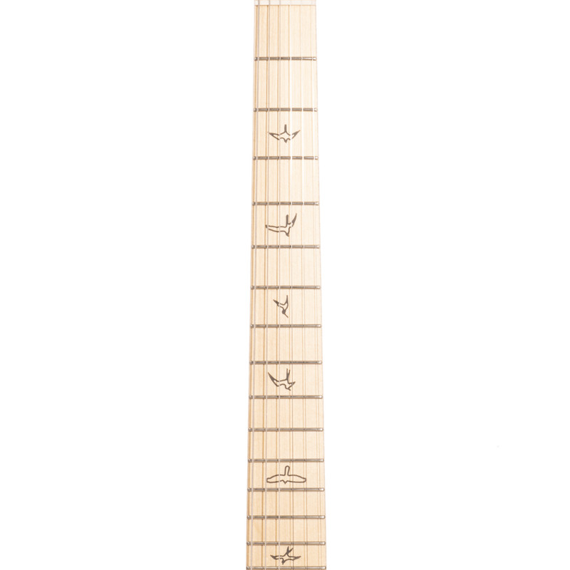 PRS Silver Sky Electric Guitar, Maple Fingerboard, Faded Black Tee Satin