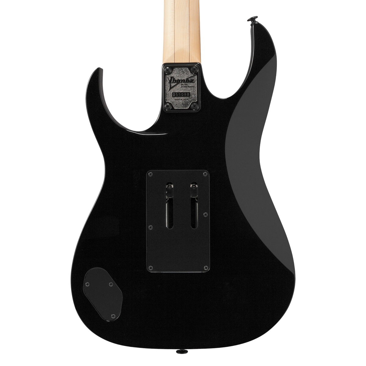 Ibanez RG Genesis Collection 6-String Electric Guitar, Black