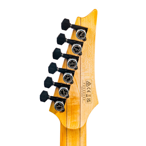 Ibanez RGR662AHBFWK RG Prestige Electric Guitar, Weathered Black