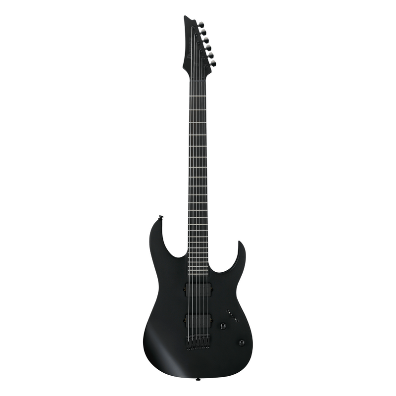 Ibanez Iron Label RG Baritone Electric Guitar, Black Flat