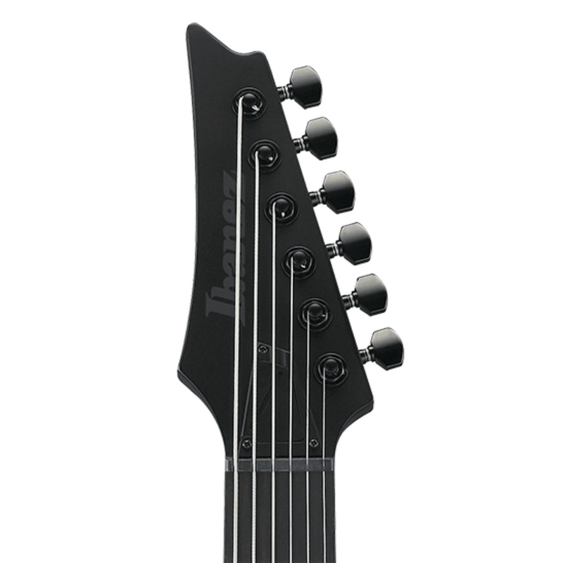 Ibanez Iron Label RG Baritone Electric Guitar, Black Flat