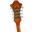 Rover RM-70S Deluxe A-Model Mandolin, Translucent Amber