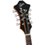 Rover RM-85 Deluxe F-Model Mandolin, Burgundy Burst