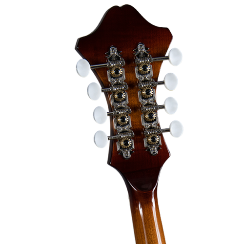 Rover RM-85 Deluxe F-Model Mandolin, Burgundy Burst