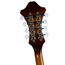Rover RM-85 Deluxe F-Model Mandolin, Burgundy Burst