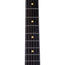 Reverend Reeves Gabrels Spacehawk Electric Guitar, Ebony Fingerboard, Midnight Black Sparkle