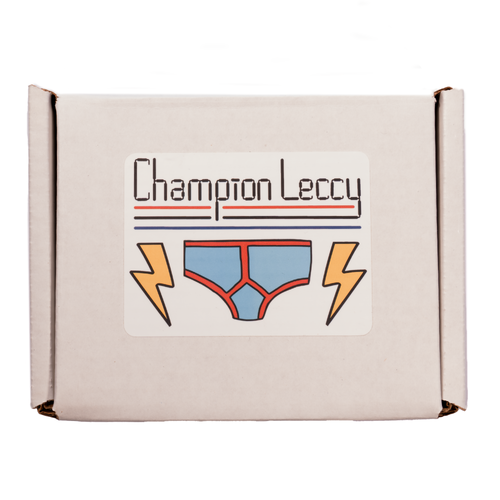 Champion Leccy Swan Hunter Lo-Fi Echo and Reverb Effect Pedal