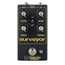 Electronic Audio Experiments Surveyor V2 Preamp Effect Pedal