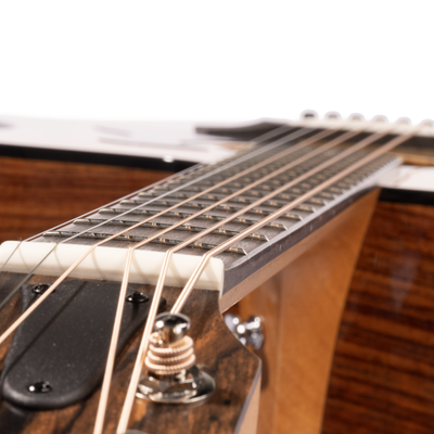 Taylor 210CE Plus Dreadnought
