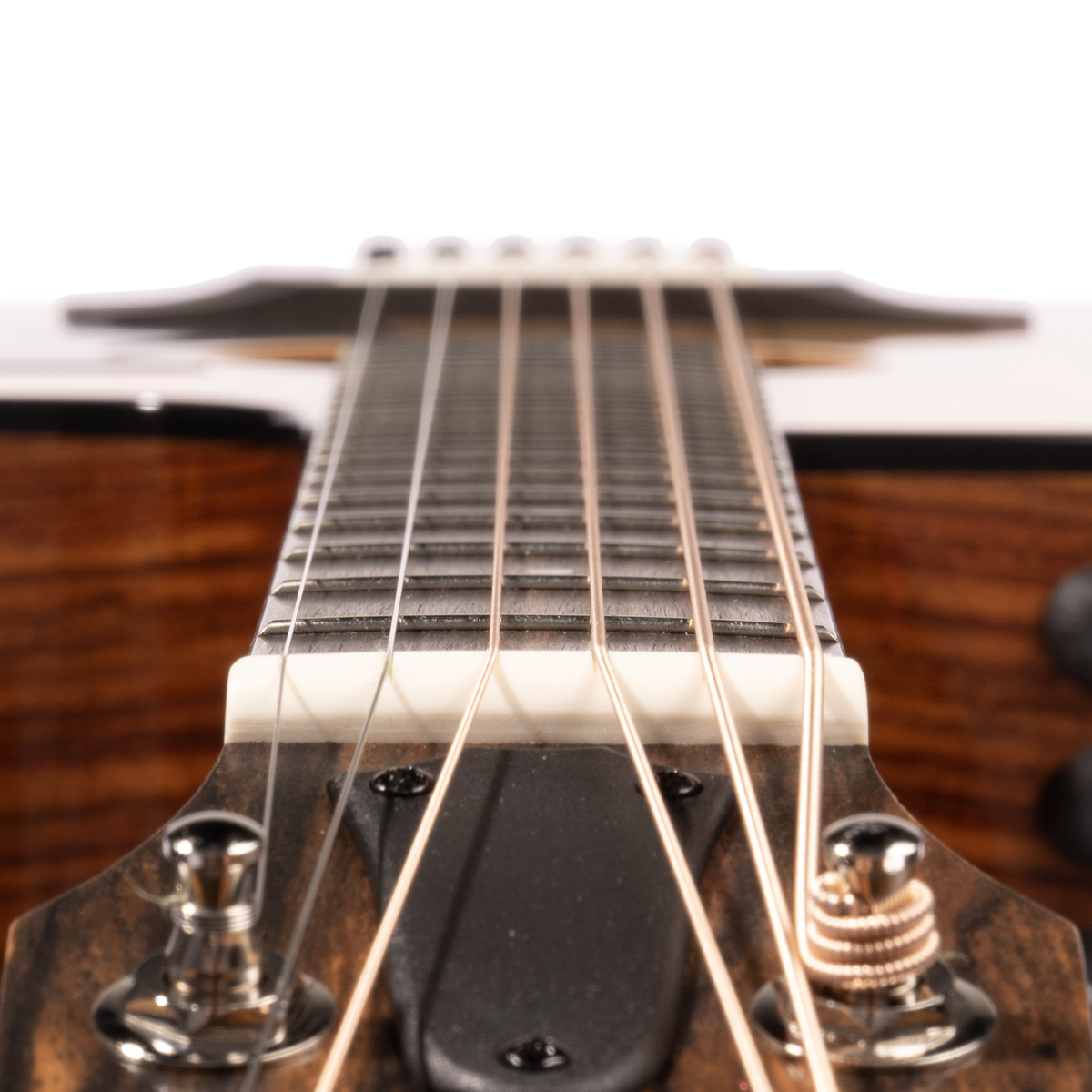 Taylor 210CE Plus Dreadnought