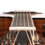 Taylor 210CE Plus Dreadnought