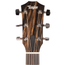 Taylor 210CE Plus Dreadnought