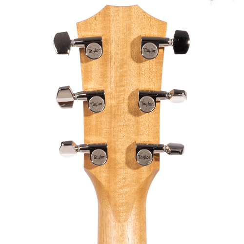 Taylor 210CE Plus Dreadnought