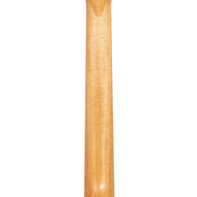 Taylor 210CE Plus Dreadnought