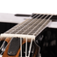 Taylor 212ce-N BLK Plus LTD Nylon-String Grand Concert Acoustic Guitar, Torrefied Spruce/Big Leaf Maple, Black
