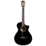Taylor 212ce-N BLK Plus LTD Nylon-String Grand Concert Acoustic Guitar, Torrefied Spruce/Big Leaf Maple, Black