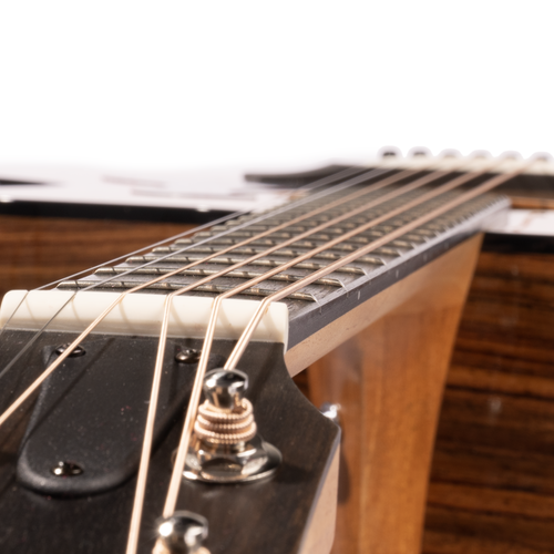 Taylor 214ce Plus Grand Auditorium Acoustic Guitar with Aerocase