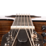 Taylor 214ce Plus Grand Auditorium Acoustic Guitar with Aerocase