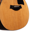 Taylor 214ce Plus Grand Auditorium Acoustic Guitar with Aerocase