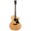 Taylor 214ce Plus Grand Auditorium Acoustic Guitar with Aerocase