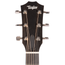 Taylor 214ce Plus Grand Auditorium Acoustic Guitar with Aerocase