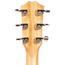 Taylor 214ce Plus Grand Auditorium Acoustic Guitar with Aerocase