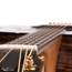 Taylor 50th Anniversary 217e-SB Plus LTD Grand Pacific Acoustic Guitar, Torrefied Sitka Spruce w/Aerocase
