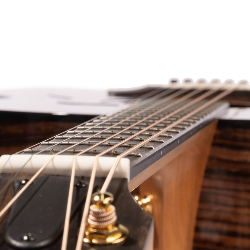 Taylor 50th Anniversary 217e-SB Plus LTD Grand Pacific Acoustic Guitar, Torrefied Sitka Spruce w/Aerocase