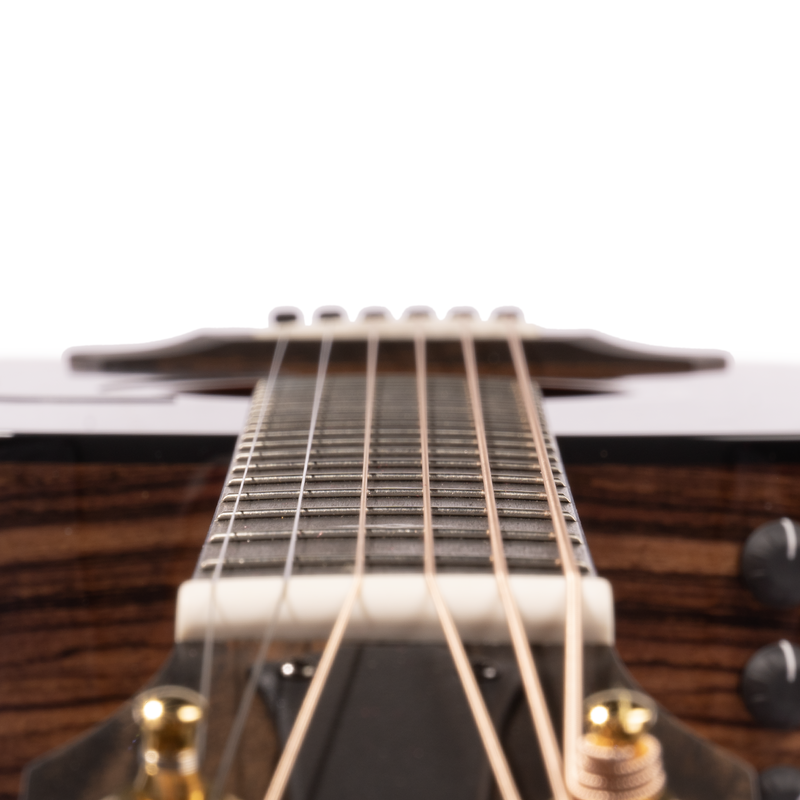 Taylor 50th Anniversary 217e-SB Plus LTD Grand Pacific Acoustic Guitar, Torrefied Sitka Spruce w/Aerocase