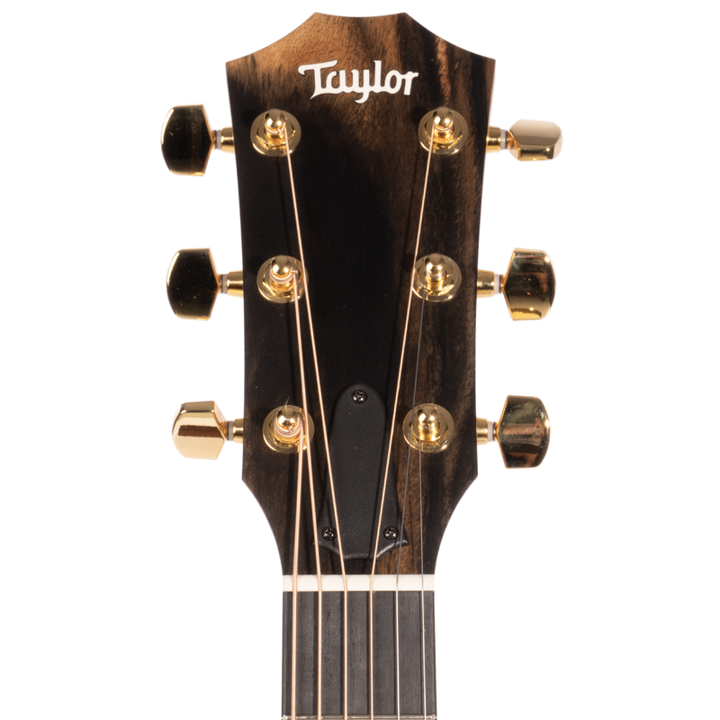Taylor 50th Anniversary 217e-SB Plus LTD Grand Pacific Acoustic Guitar, Torrefied Sitka Spruce w/Aerocase