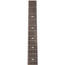 Taylor 50th Anniversary 217e-SB Plus LTD Grand Pacific Acoustic Guitar, Torrefied Sitka Spruce w/Aerocase