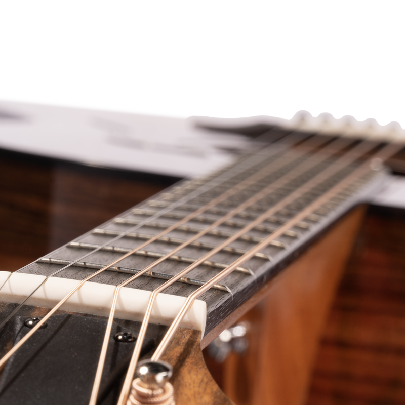 Taylor 217e Plus Grand Pacific Acoustic-Electric Guitar, Torrefied Sitka Spruce/Rosewood, Tobacco Sunburst