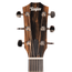 Taylor 217e Plus Grand Pacific Acoustic-Electric Guitar, Torrefied Sitka Spruce/Rosewood, Tobacco Sunburst