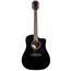 Taylor 250ce-BLK Plus 12-string Dreadnought Acoustic Electric Guitar, Sitka Spruce/Big Leaf Maple