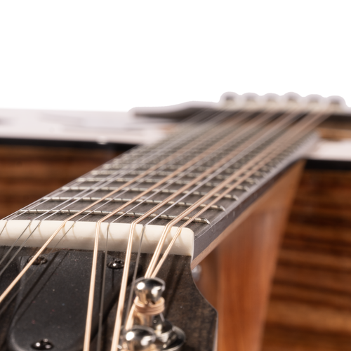 Taylor 254ce Plus 12-string Grand Auditorium Acoustic-Electric Guitar, Sitka Spruce/Indian Rosewood