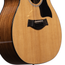 Taylor 254ce Plus 12-string Grand Auditorium Acoustic-Electric Guitar, Sitka Spruce/Indian Rosewood