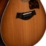 Taylor 50th Anniversary 312ce Limited Edition Grand Concert, Torrefied Spruce/Sapele, Shaded Edgeburst