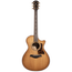 Taylor 50th Anniversary 312ce Limited Edition Grand Concert, Torrefied Spruce/Sapele, Shaded Edgeburst