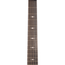 Taylor 50th Anniversary 312ce Limited Edition Grand Concert, Torrefied Spruce/Sapele, Shaded Edgeburst