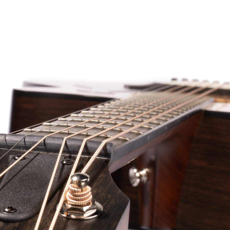 Taylor 314ce Special Edition Grand Auditorium Acoustic-Electric Guitar, Sitka Spruce/Indian Rosewood