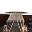 Taylor 314ce Special Edition Grand Auditorium Acoustic-Electric Guitar, Sitka Spruce/Indian Rosewood