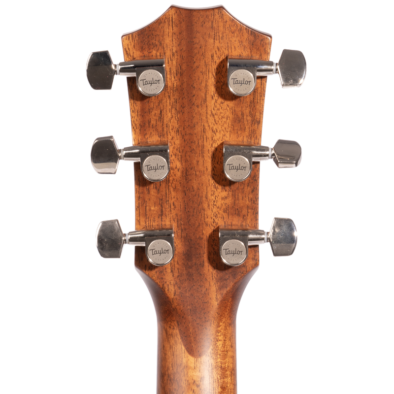 Taylor 314ce Special Edition Grand Auditorium Acoustic-Electric Guitar, Sitka Spruce/Indian Rosewood
