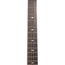 Taylor 314ce Special Edition Grand Auditorium Acoustic-Electric Guitar, Sitka Spruce/Indian Rosewood