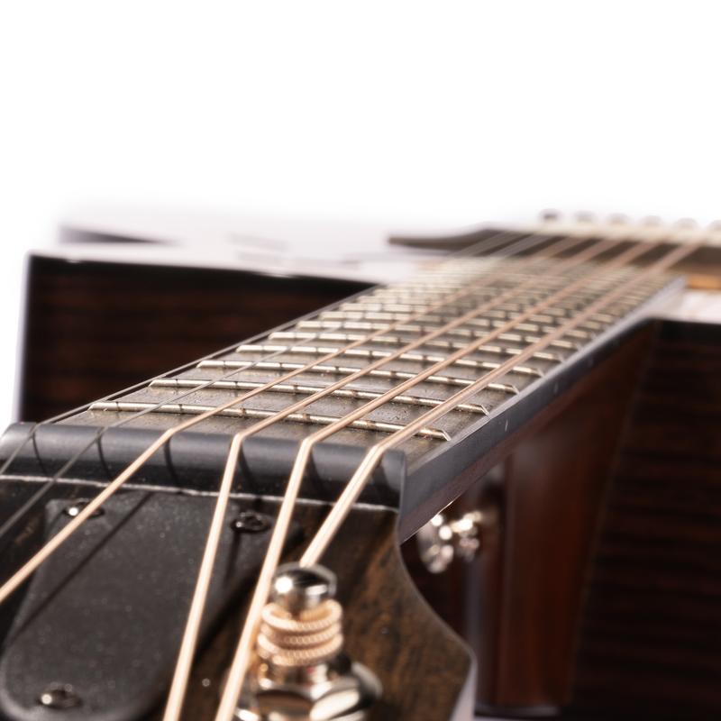 Taylor 314ce Special Edition Grand Auditorium Acoustic-Electric Guitar, Sitka Spruce/Indian Rosewood