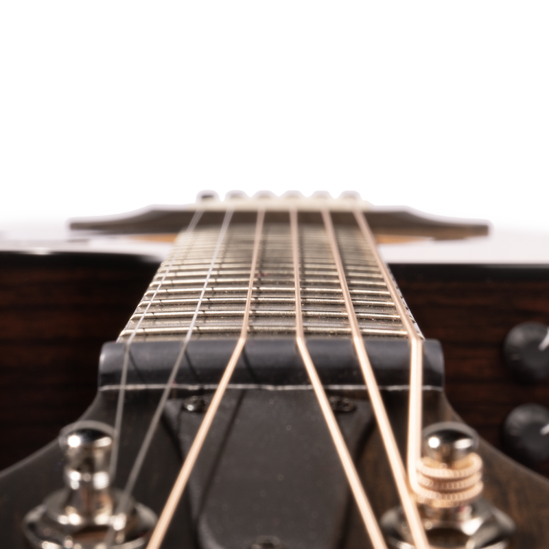 Taylor 314ce Special Edition Grand Auditorium Acoustic-Electric Guitar, Sitka Spruce/Indian Rosewood