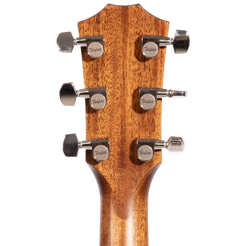 Taylor 314ce Special Edition Grand Auditorium Acoustic-Electric Guitar, Sitka Spruce/Indian Rosewood