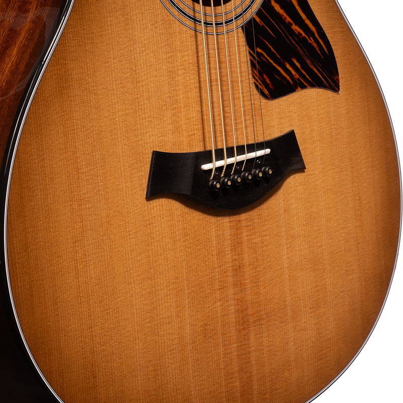 Taylor 50th Anniversary 316ce Baritone LTD Grand Symphony, Torrefied Spruce/Sapele, Shaded Edgeburst