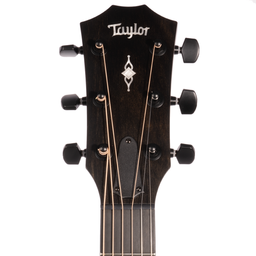 Taylor 324ce Grand Auditorium Acoustic Guitar, Hardwood Mahogany Top a