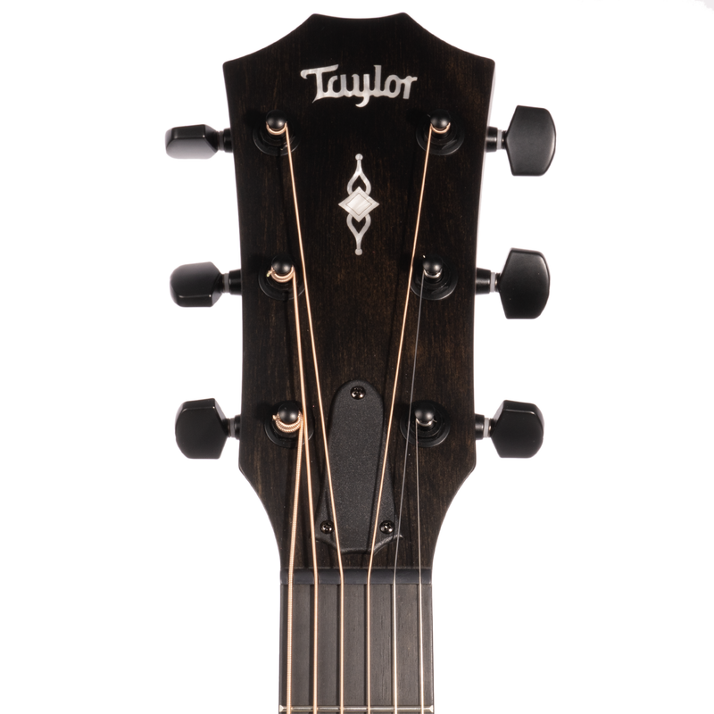 Taylor 324ce Grand Auditorium Acoustic Guitar, Hardwood Mahogany Top and Tasmanian Blackwood Back & Sides